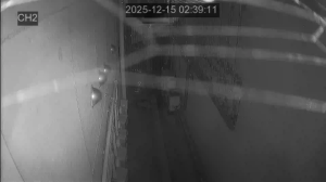 Caméra IP - South Korea