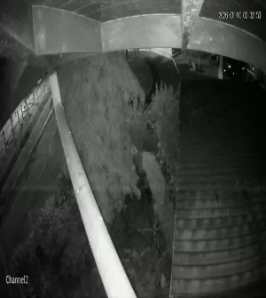 Caméra IP - Germany