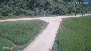 Caméra IP - Vietnam