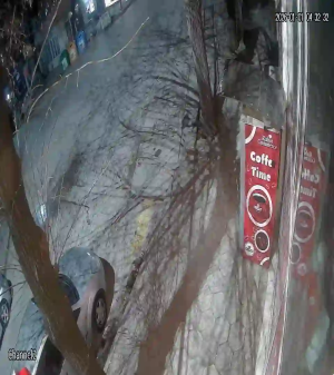 Caméra IP - Bulgaria