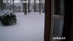 Caméra IP - Paesi Bassi