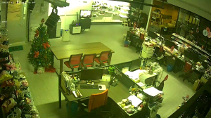 Caméra IP - Malaisie