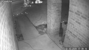 Caméra IP - United States of America