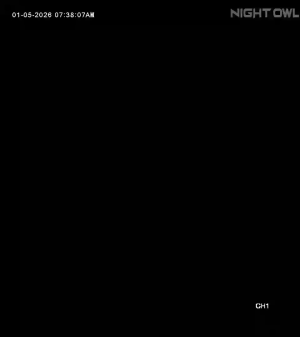 Caméra IP - United States of America