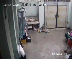 Caméra IP - China