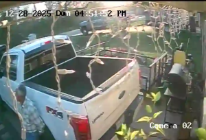 Caméra IP - Vereinigte Staaten von Amerika