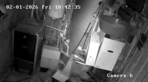 Caméra IP - Roumanie