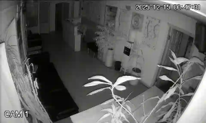 Caméra IP - Ucrania