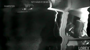 Caméra IP - États-Unis d'Amérique