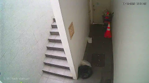 Caméra IP - Singapore