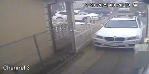 Caméra IP - Stati Uniti d'America