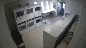 Caméra IP - United States of America