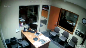 Caméra IP - United States of America