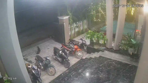 Caméra IP - Vietnam