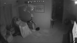 Caméra IP - Vereinigte Staaten von Amerika