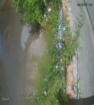 Caméra IP - Argelia