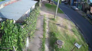 Caméra IP - Argentina