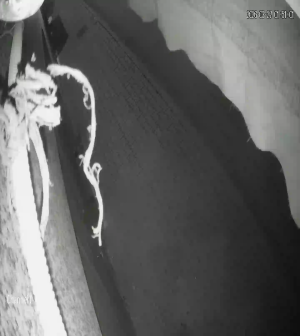 Caméra IP - Marokko