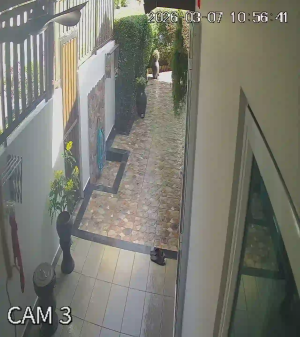 Caméra IP - Malasia