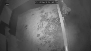 Caméra IP - United Kingdom