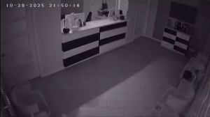 Caméra IP - Stati Uniti d'America