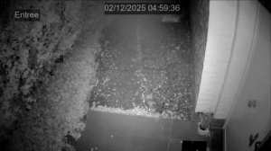 Caméra IP - Belgique