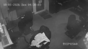 Caméra IP - Germany