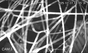 Caméra IP - Portugal