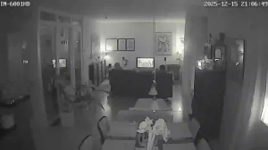 Caméra IP - Allemagne