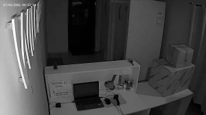 Caméra IP - Russische Föderation