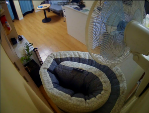 Caméra IP - Südkorea