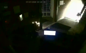 Caméra IP - Russian Federation