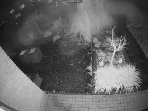 Caméra IP - Pays-Bas