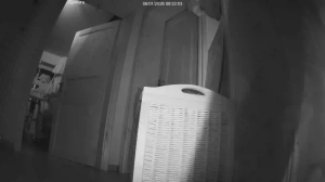 Caméra IP - Germany