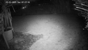 Caméra IP - Schweiz