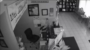 Caméra IP - États-Unis d'Amérique