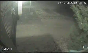 Caméra IP - Österrike