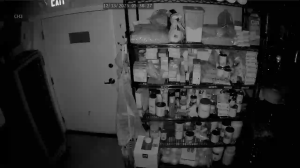 Caméra IP - États-Unis d'Amérique