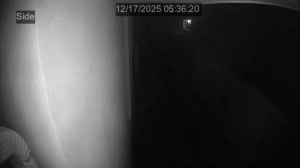 Caméra IP - Vereinigte Staaten von Amerika