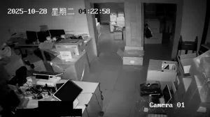 Caméra IP - Cina