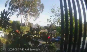 Caméra IP - Australia