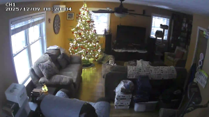 Caméra IP - États-Unis d'Amérique