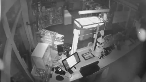 Caméra IP - Germany