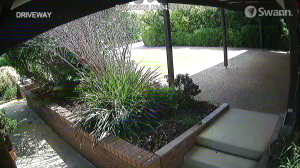 Caméra IP - Australien