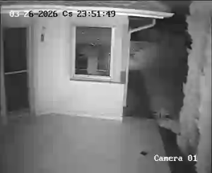 Caméra IP - Hungary