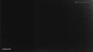 Caméra IP - Russian Federation