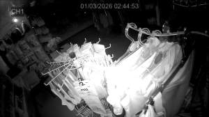 Caméra IP - Russian Federation