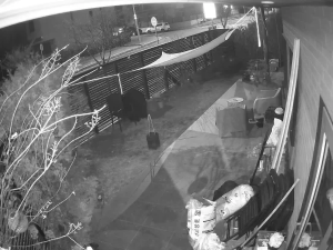 Caméra IP - South Korea