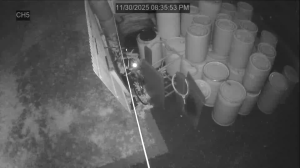 Caméra IP - United States of America