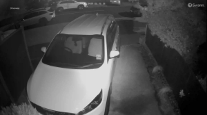 Caméra IP - Nueva Zelanda